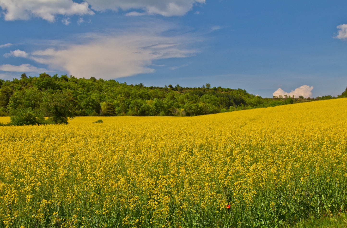 The Art of Living Well – A South of France Wellness Retreat for Strength, Stillness & Self-Discovery