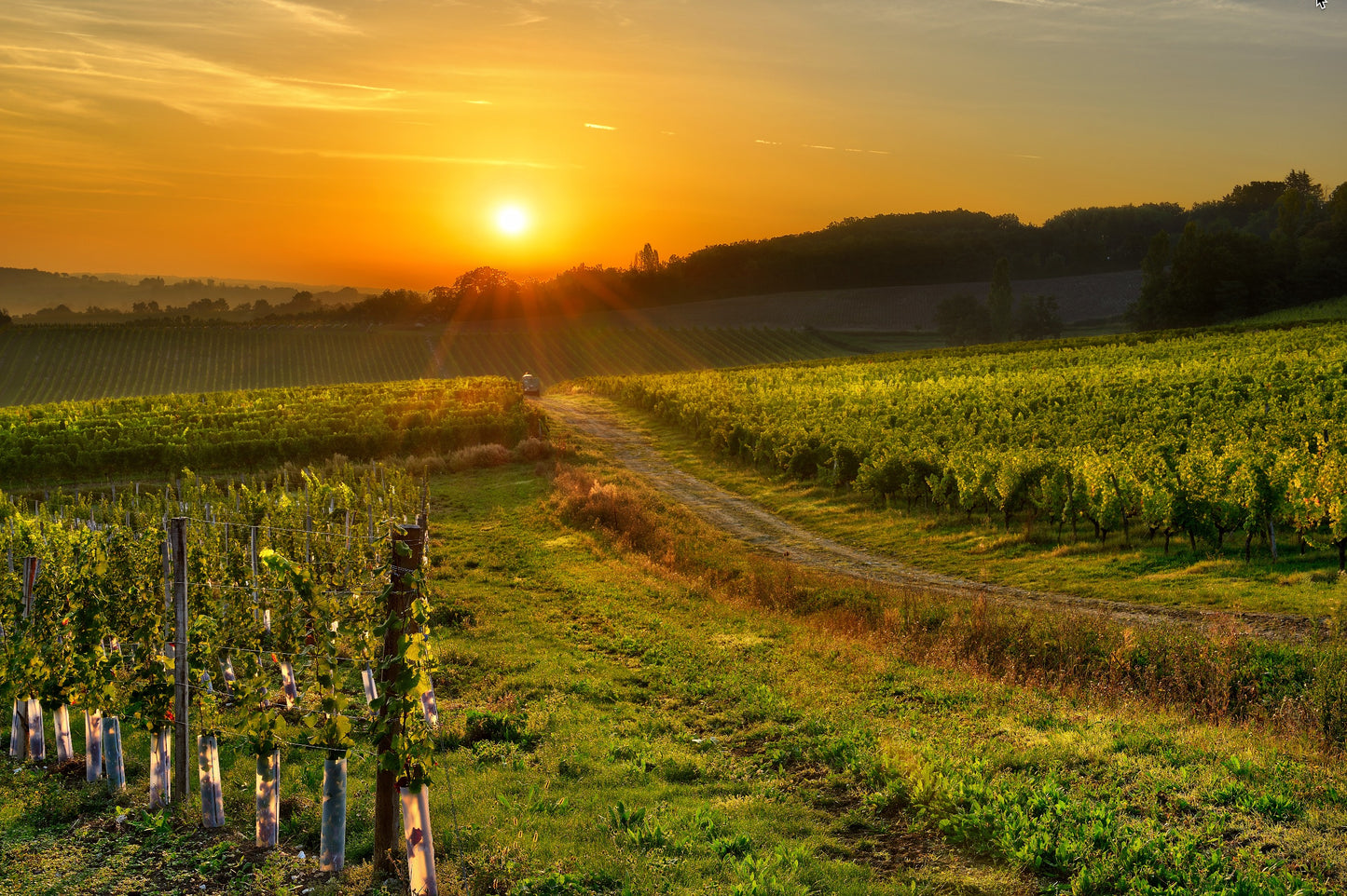The Art of Living Well – A South of France Wellness Retreat for Strength, Stillness & Self-Discovery