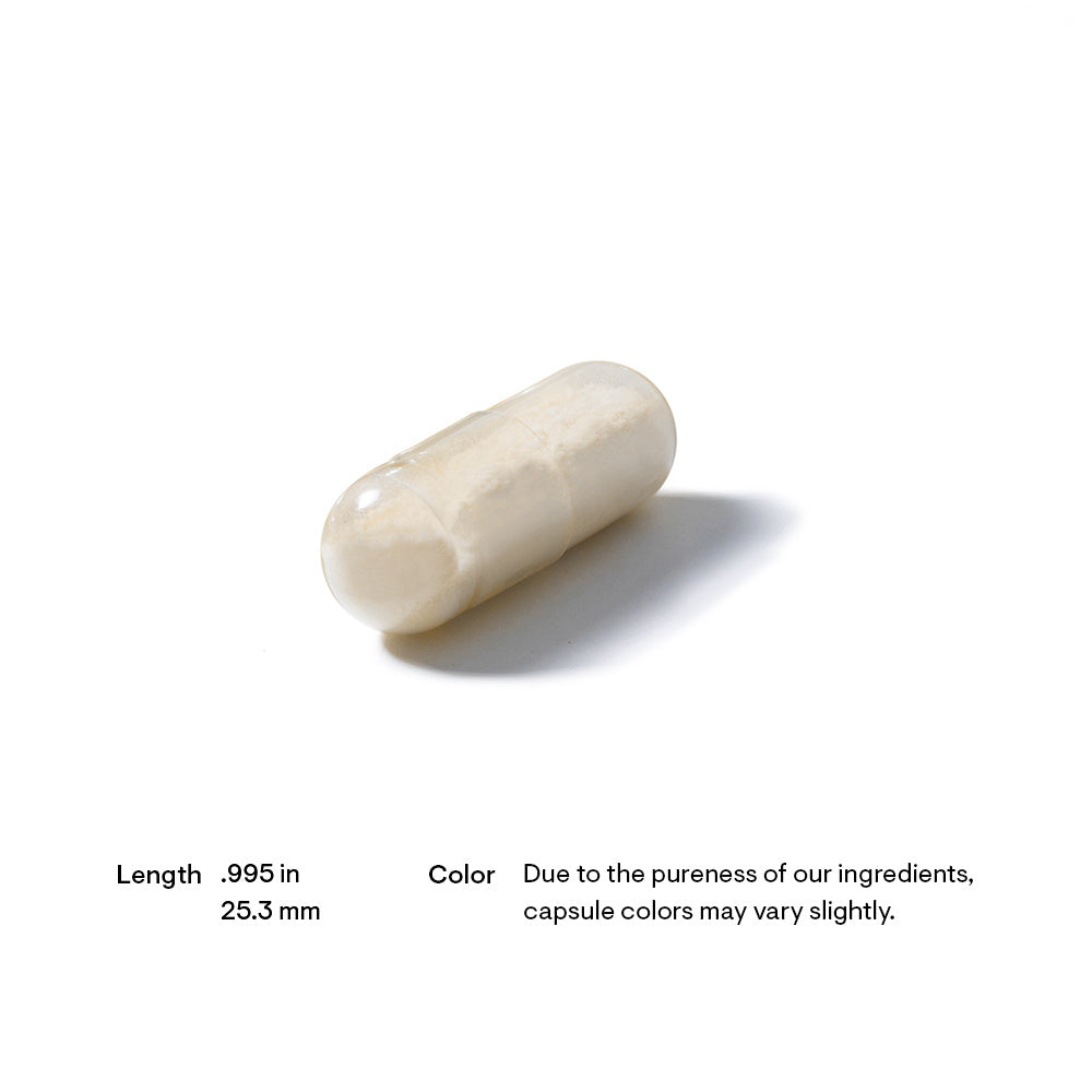 Glucosamine & Chondroitin